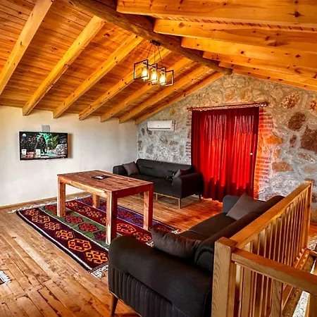 Ikizler 1 Hotel Fethiye